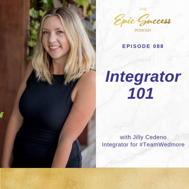 Integrator 101 with Jilly Cedeno Integrator for #TeamWedmore